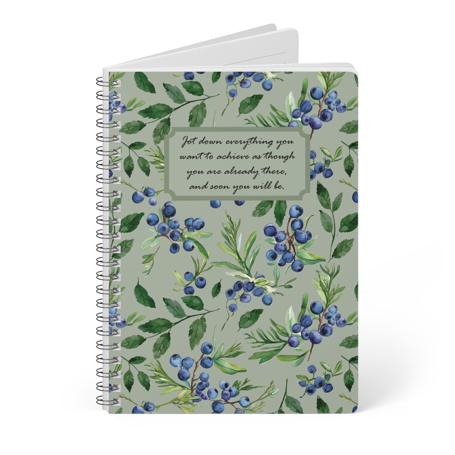 manifesting notebook