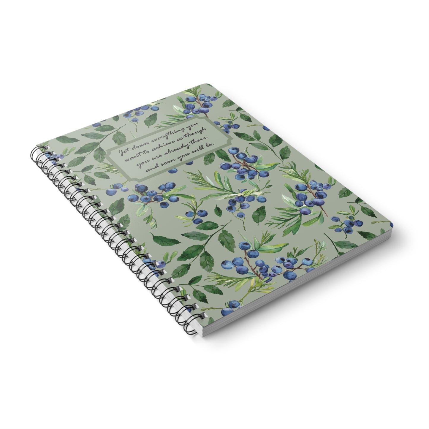 manifesting notebook
